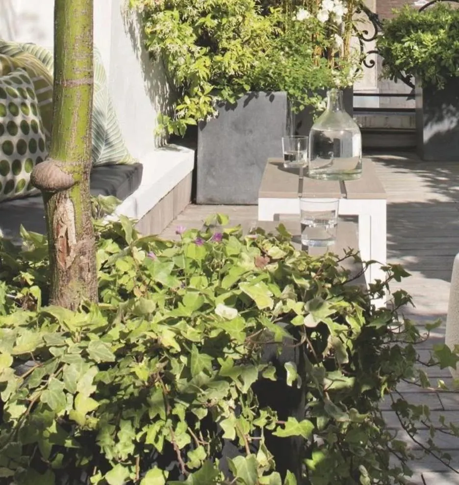 Belle Chambre Avec Acces A Une Terrasse Париж